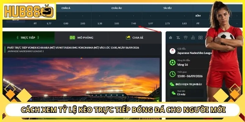 Cách xem tỷ lệ kèo trực tiếp bóng đá cho người mới